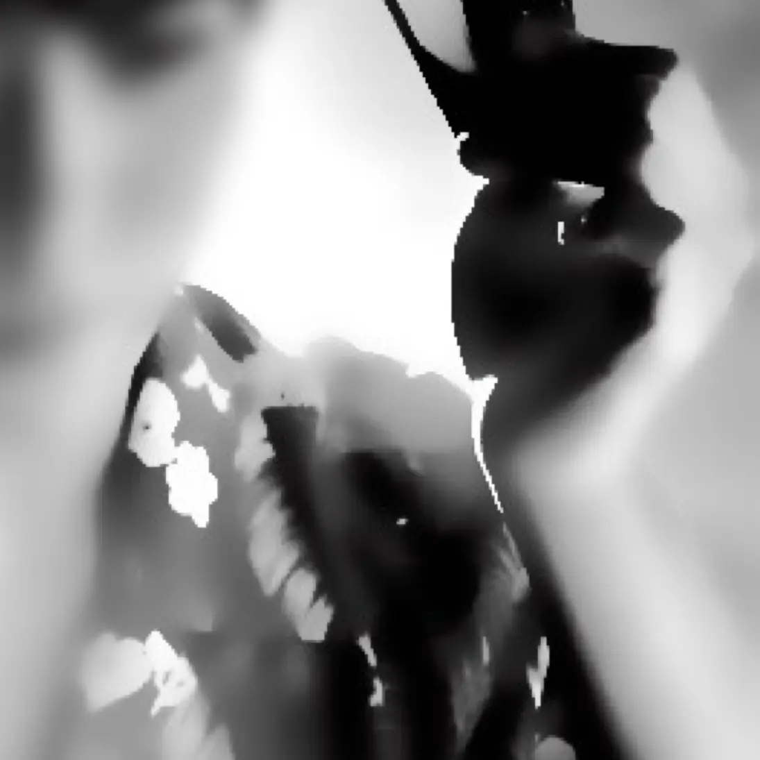 NYRXO2의 ໊