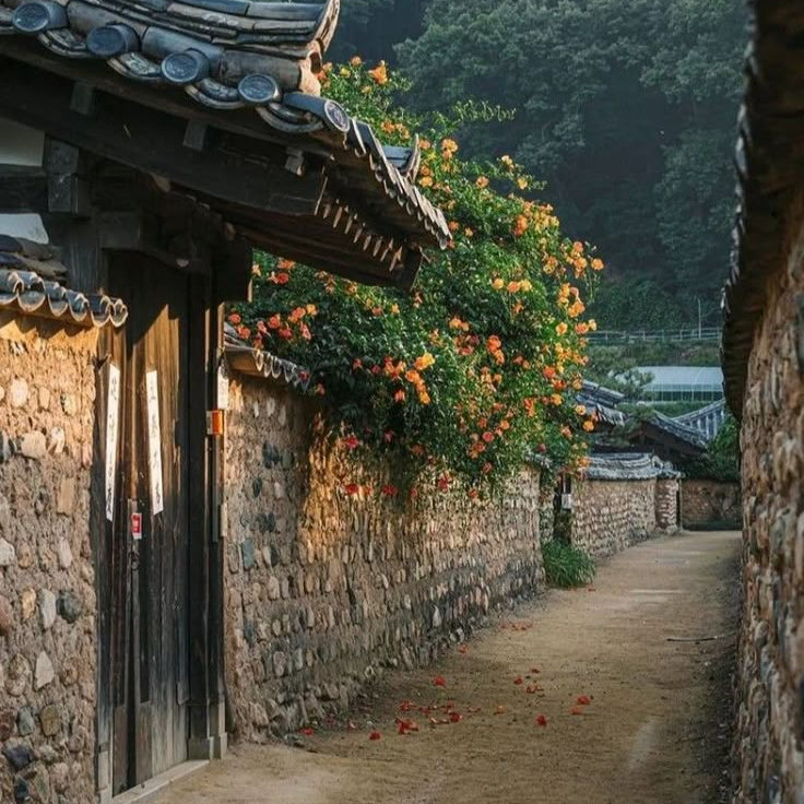 잊었던 낭군이 다시돌아온다 대표 이미지