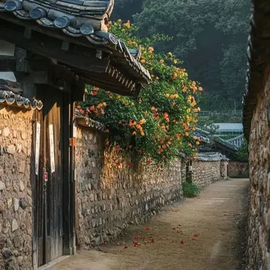 Profile image of 정형준