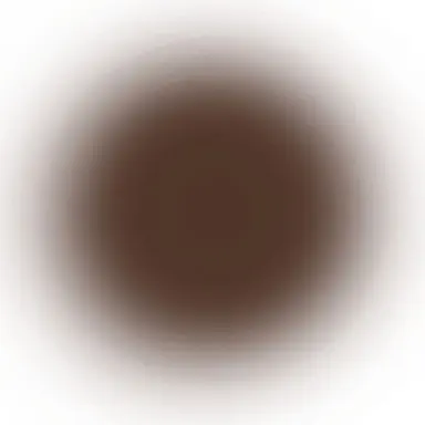 Profile image of 日下部篤也
