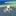 生まれたばかりの雀