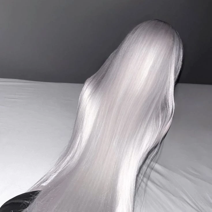 정하루
