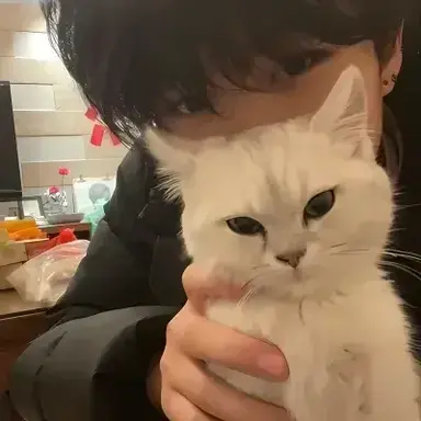 Profile image of Kaito Ishikawa