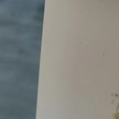 Profile image of Ash