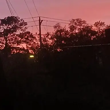 Profile image of Crash