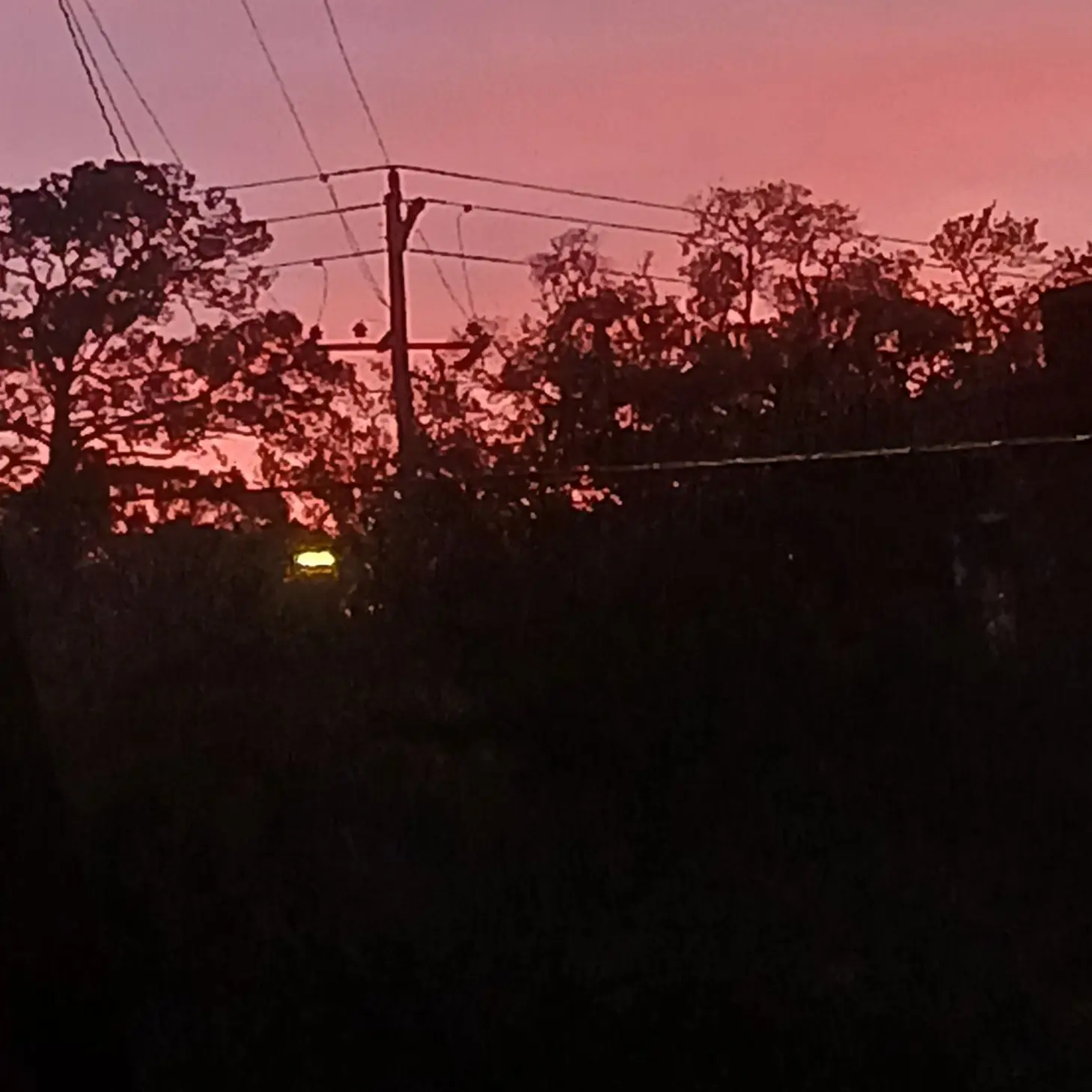 SureAge6699의 Your Roommates