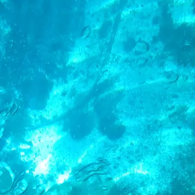 Profile image of Byrn