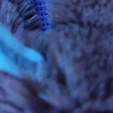 Profile image of 유툽최애고