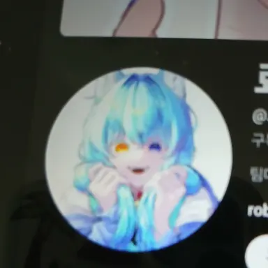 Profile image of 료미