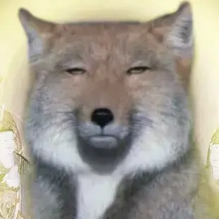 Profile image of 여우쿠키