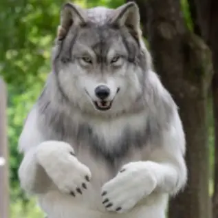 Profile image of 늑대쿠키