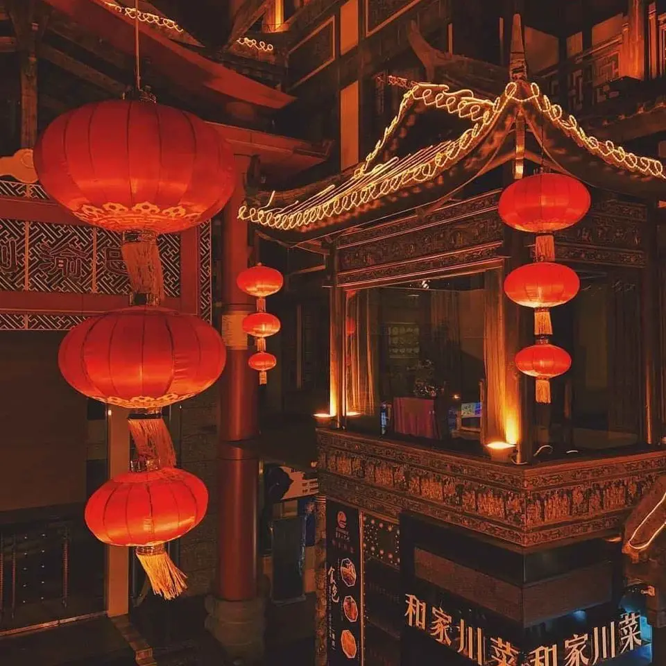 LonelyDinosaur0911의 🇨🇳