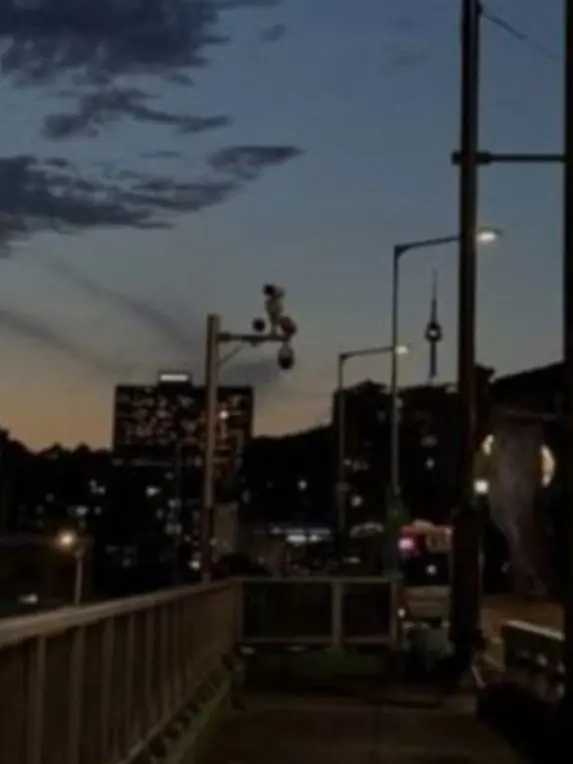 MeltyWool1429의 반짝이는 워터멜론