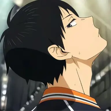 Profile image of 影山飛雄