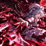 Profile image of レミリア
