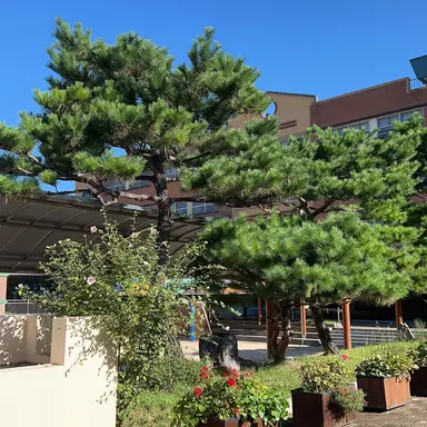 Profile image of 해쉬