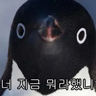 Profile image of 배달원