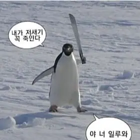 Profile image of 베리티 상점주인