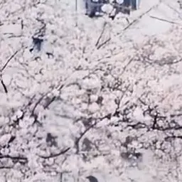 Profile image of 蒼