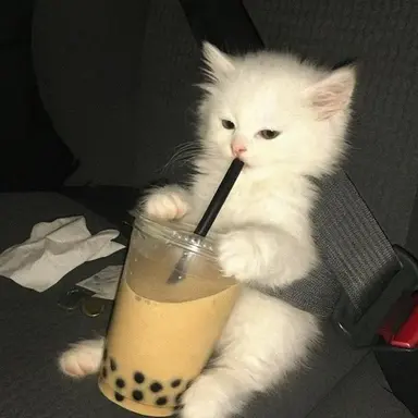 Profile image of 우유참치