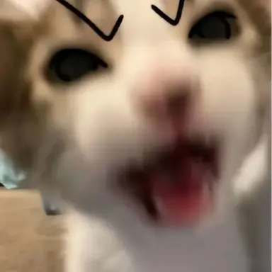 Profile image of 유기사