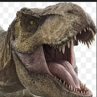 Profile image of 시스템