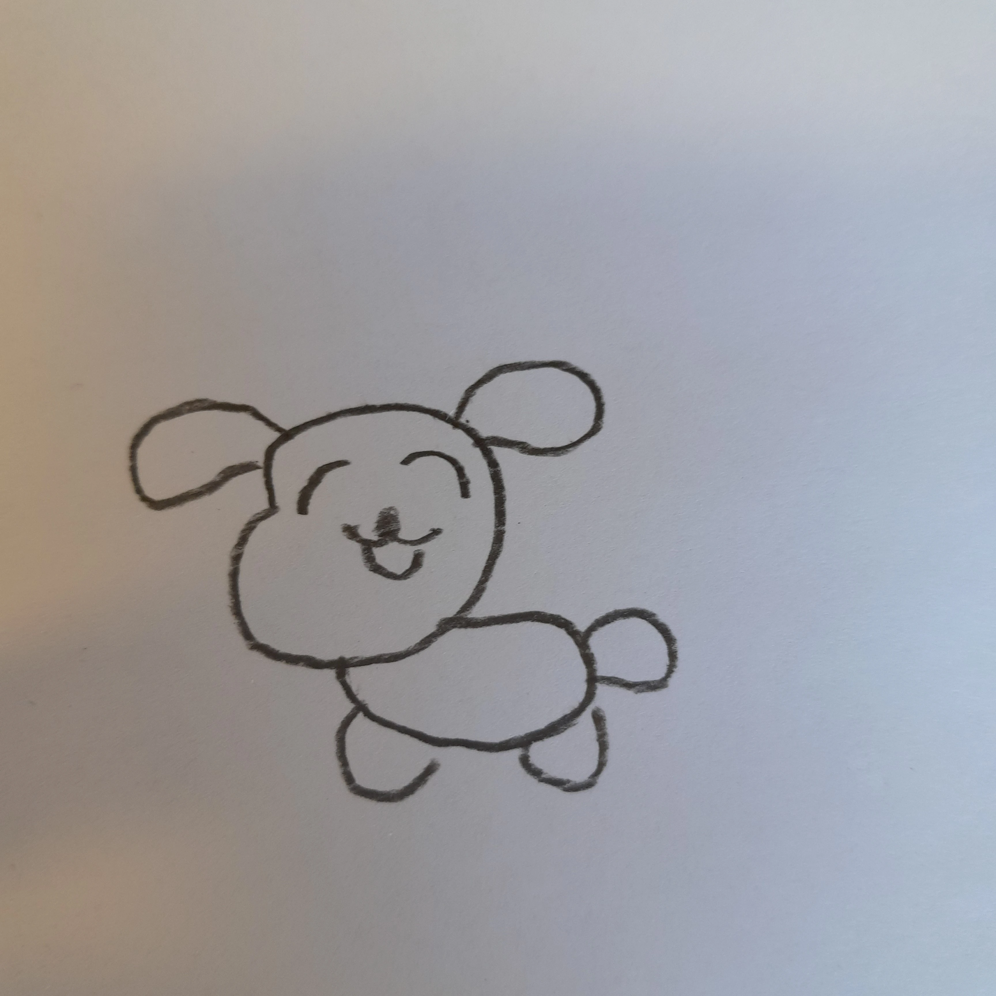 강아지 제제