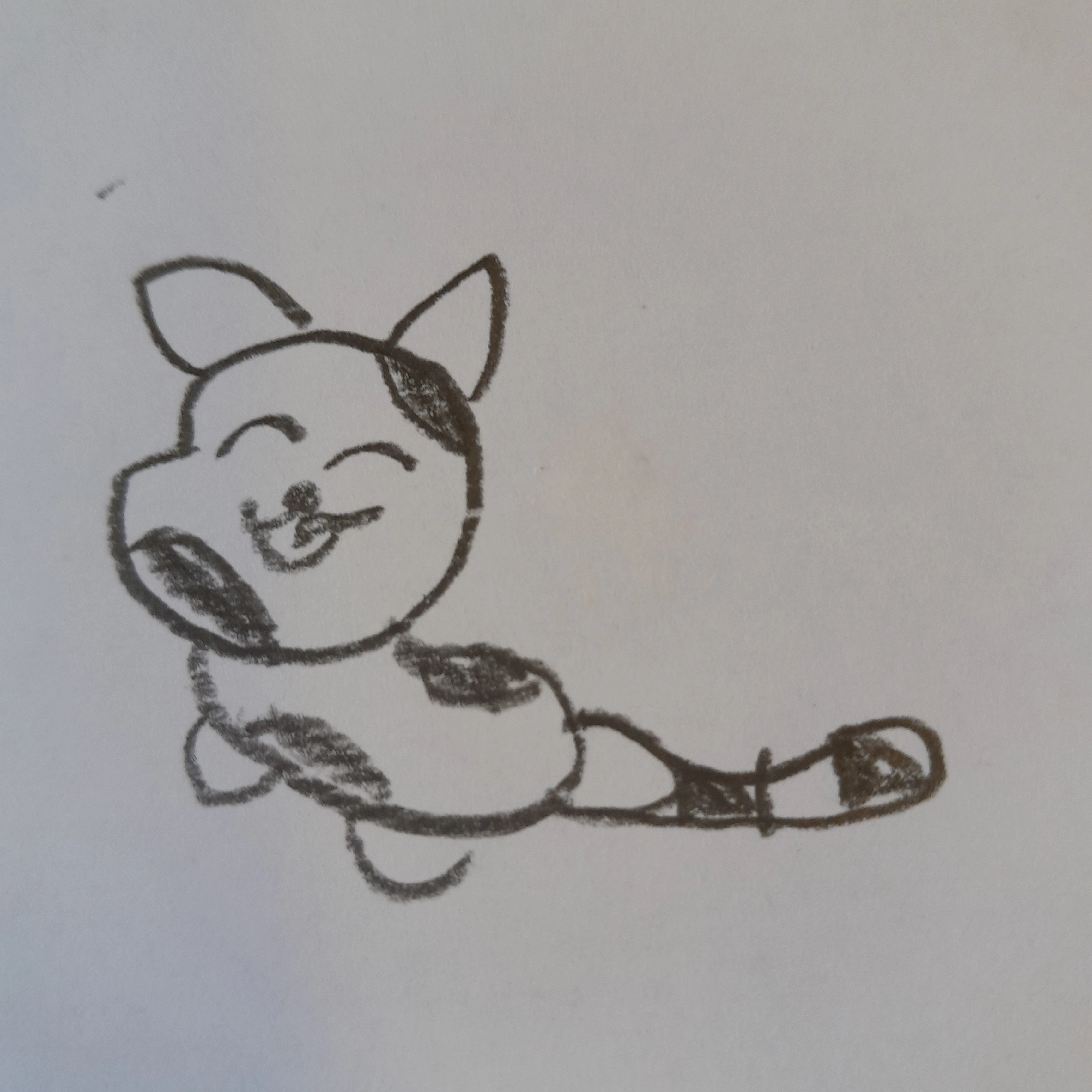 고양이 미유