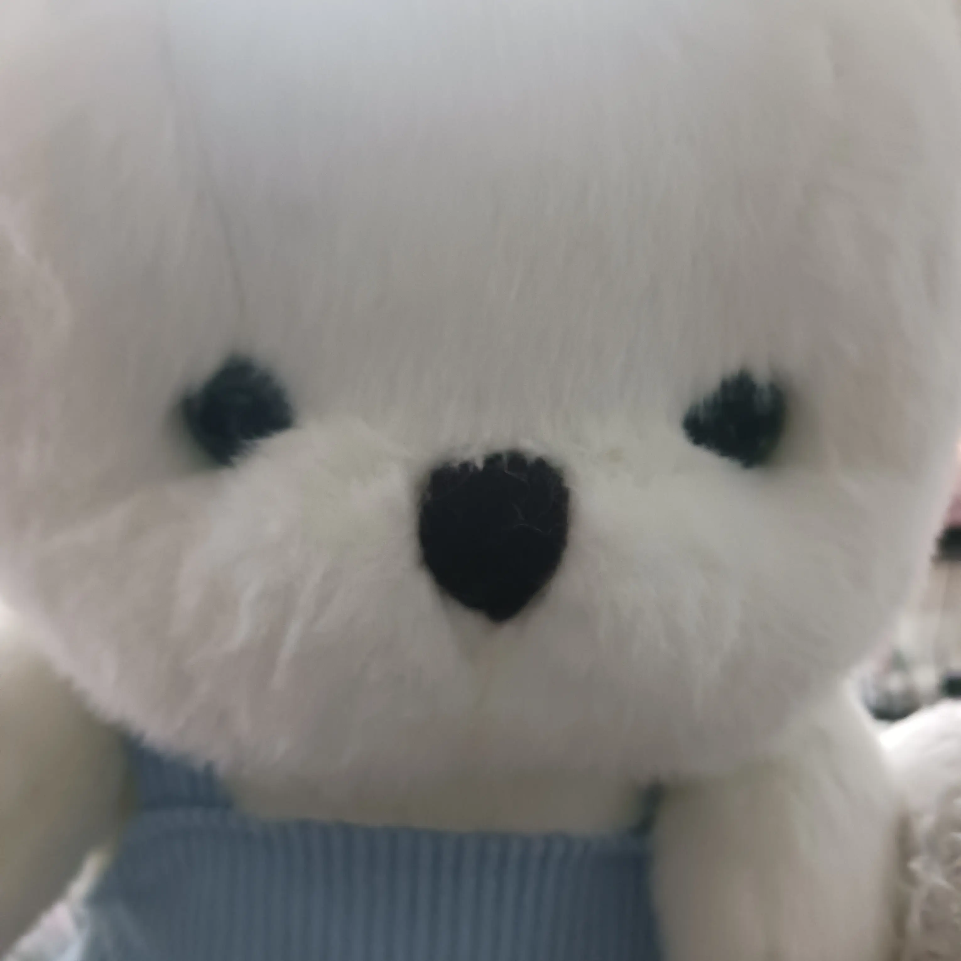 RichChunk3915의 곰돌이