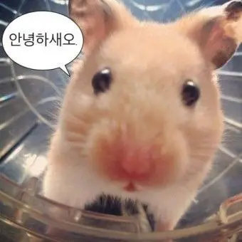 M_xayo.의 꽥스코드 [알약 먹는법]