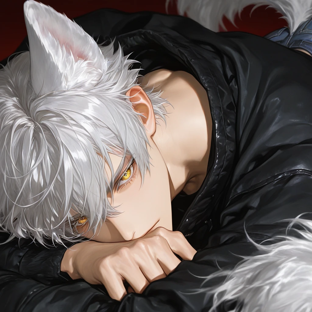 燈狼