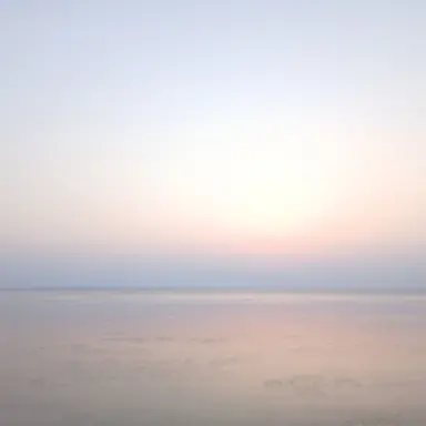 Profile image of 캔디애플