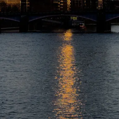 Profile image of ミンギュ