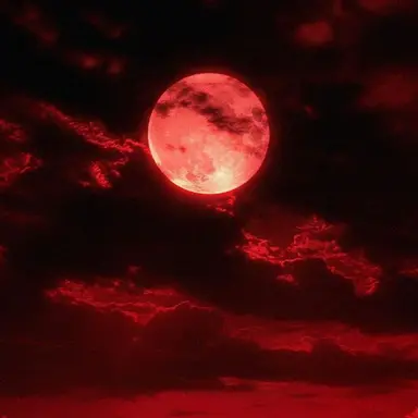 Profile image of 이노우에 레나