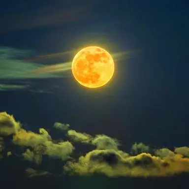 Profile image of 린리 솔리스