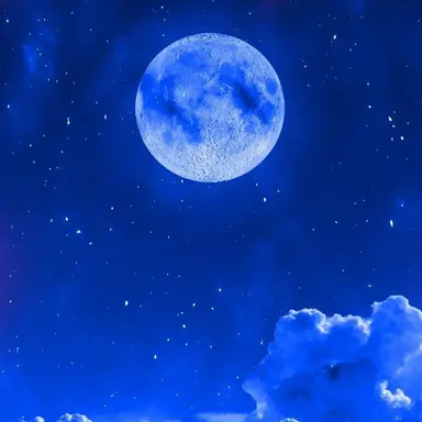 Profile image of 슈쿠