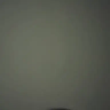 Profile image of 권하준