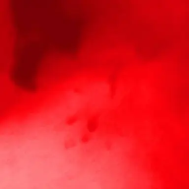 Profile image of 曽野舜太