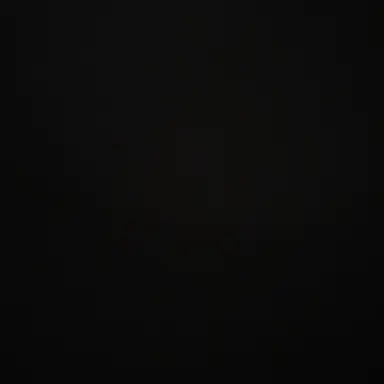 Profile image of 정다희