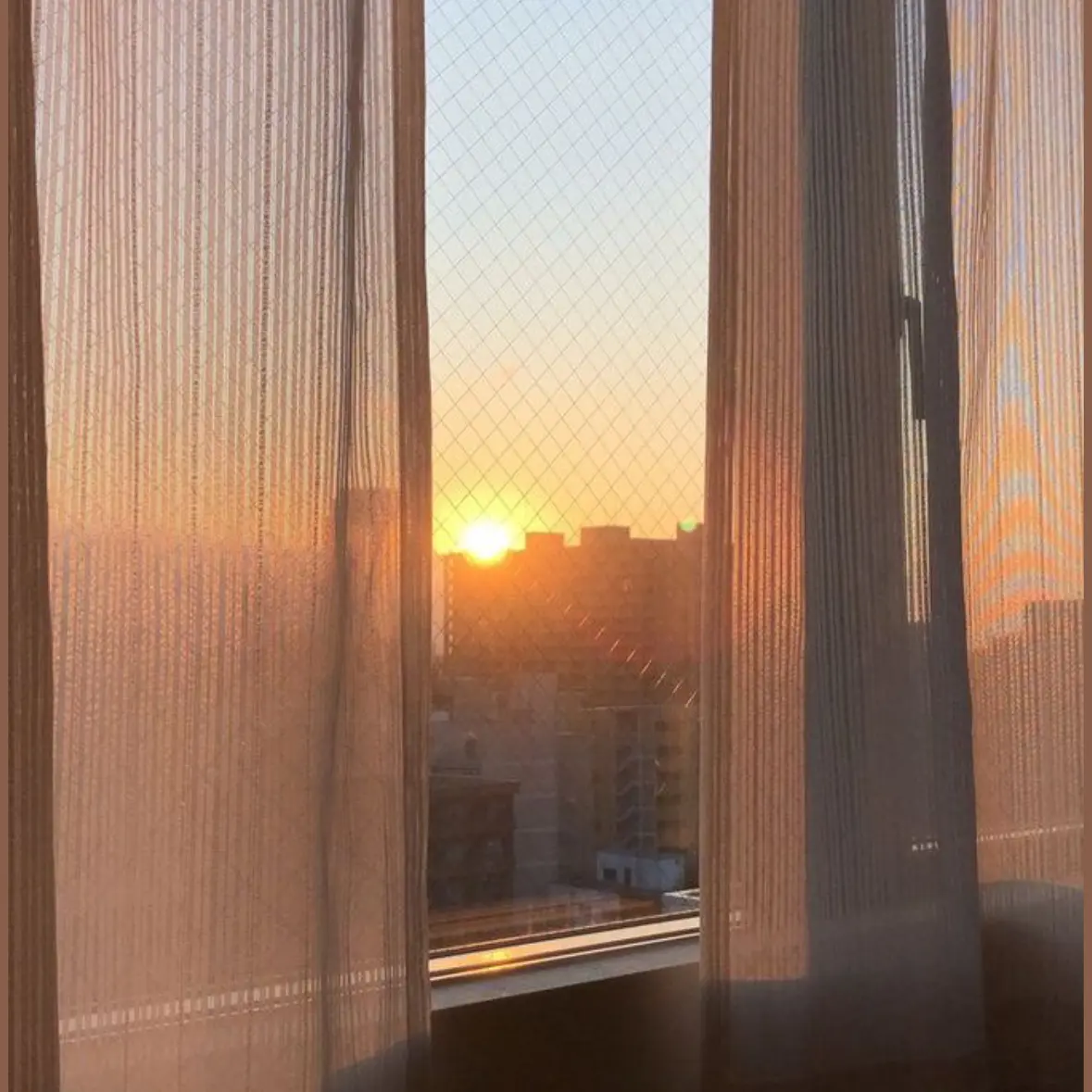 sol_o827의 김성호