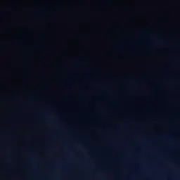 Profile image of 왕