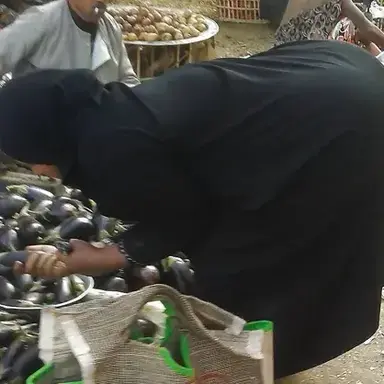 Profile image of Samira