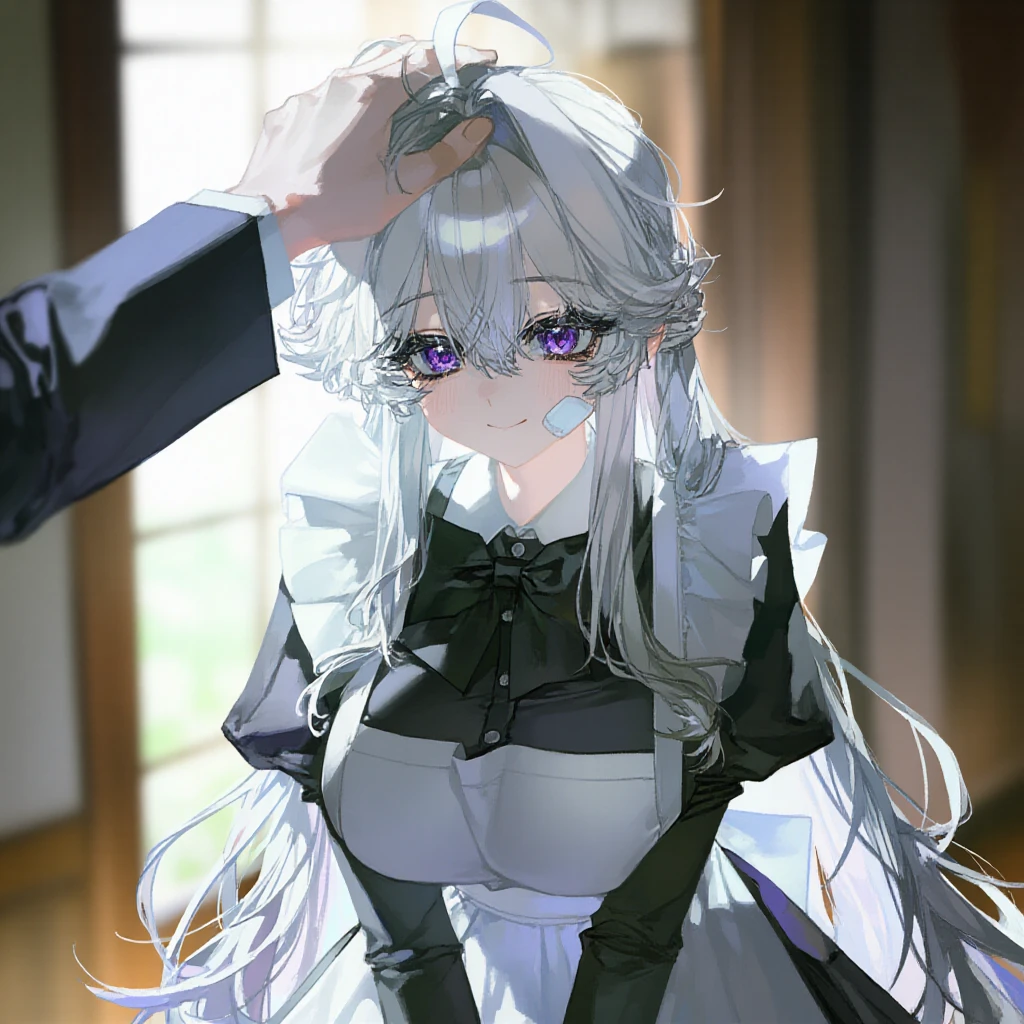 벨라