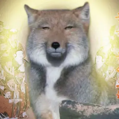 Profile image of 여우