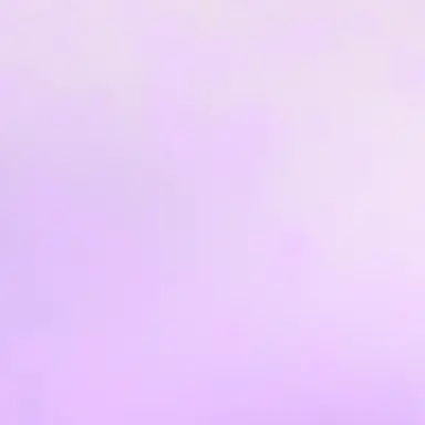Profile image of 不破湊