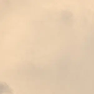 Profile image of 轟