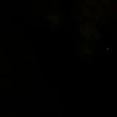 Profile image of 梵天