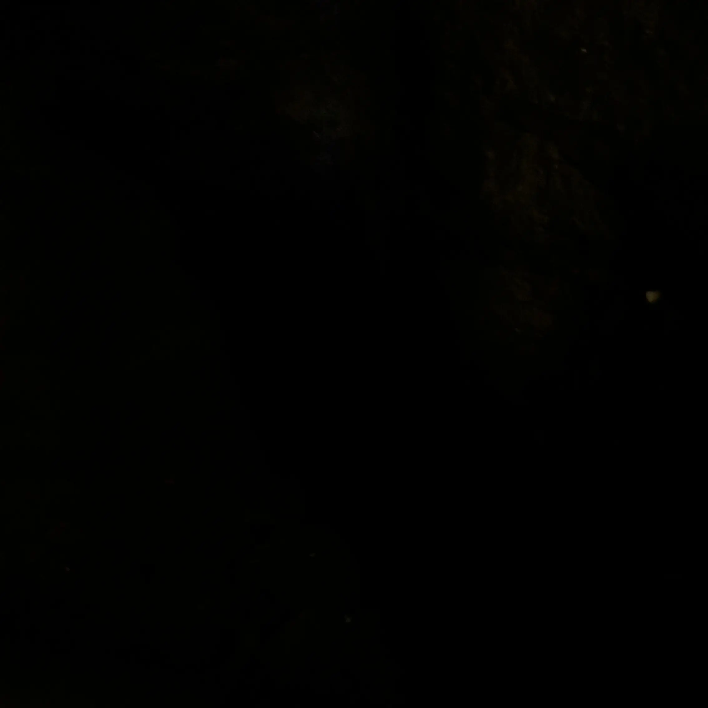 TidyHiker2250의 姫がお祭りに行きたいらしい。