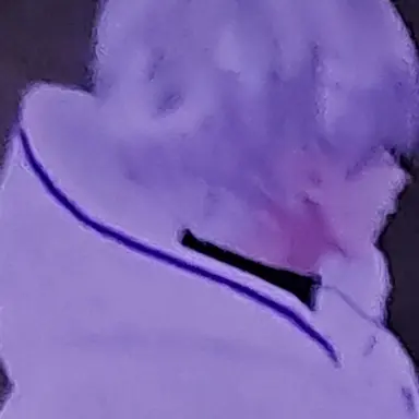 Profile image of 리온