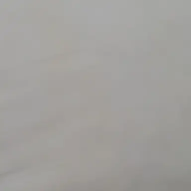 Profile image of 전학온 여학생들